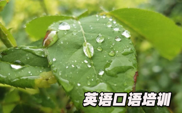 Ӣ���������Ķ���ϰ- ����Ӣ��