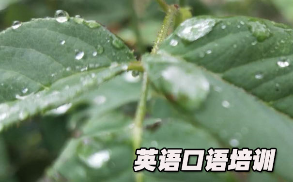 Ӣ���������ʶ���Ƶ- ����Ӣ��     