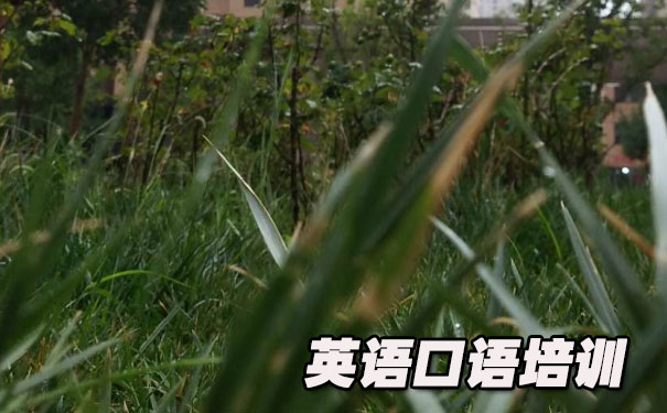 Ӣ�������ļ�- ����Ӣ��     