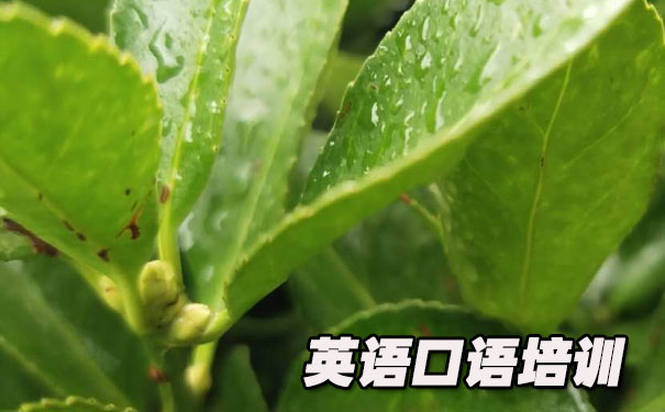 Ӣ����ｻ��- ����Ӣ��