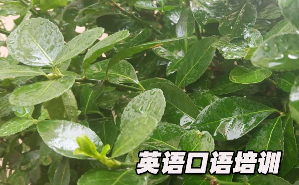 英语口语话题- 美联英语