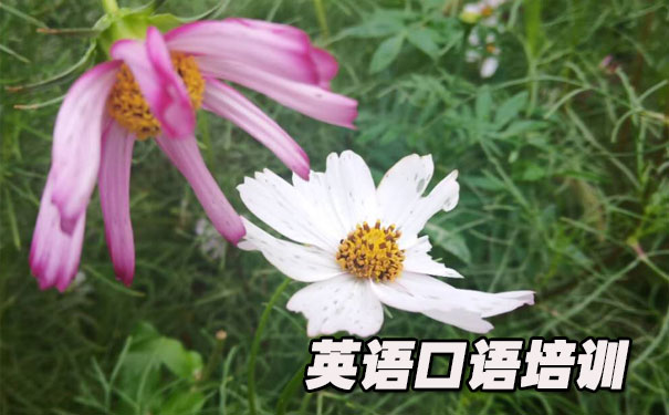 Ӣ����������- ����Ӣ��     