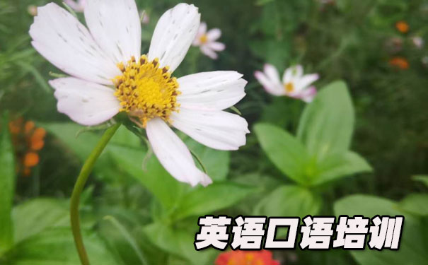 Ӣ����￼������ģ���- ����Ӣ��