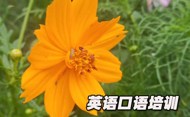 Ӣ����￴ͼƬ����˵��- ����Ӣ��