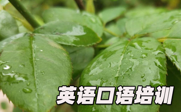 Ӣ�������Ƶ��ѧ��Ƶ- ����Ӣ��