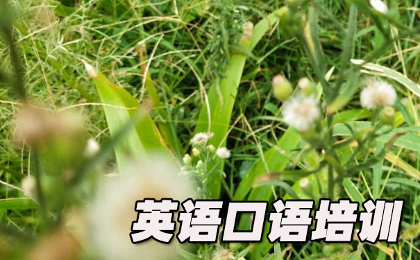 Ӣ����������ϰ- ����Ӣ��