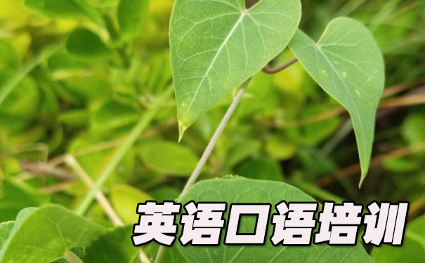 英语口语速成班- 美联英语