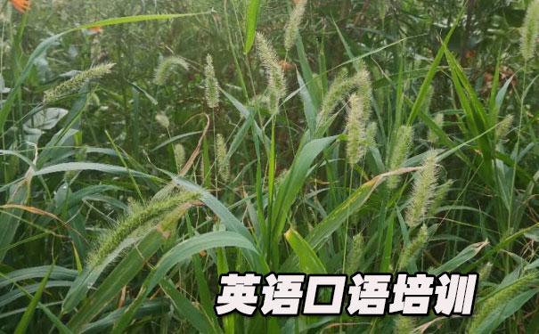 英语口语图标图片- 美联英语