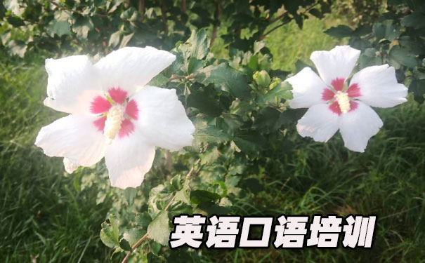 Ӣ���������ѵ��- ����Ӣ��