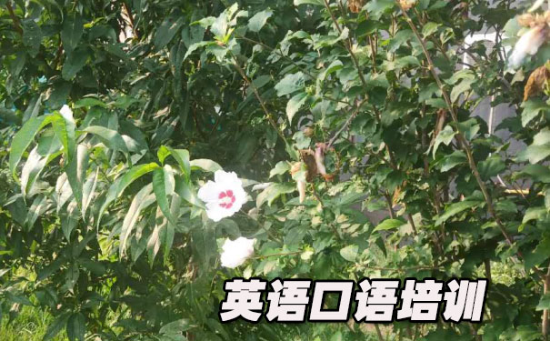 英语口语文章3分钟- 美联英语
