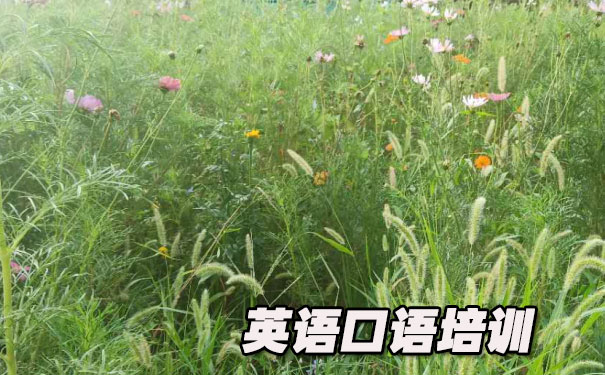 英语口语文章app- 美联英语