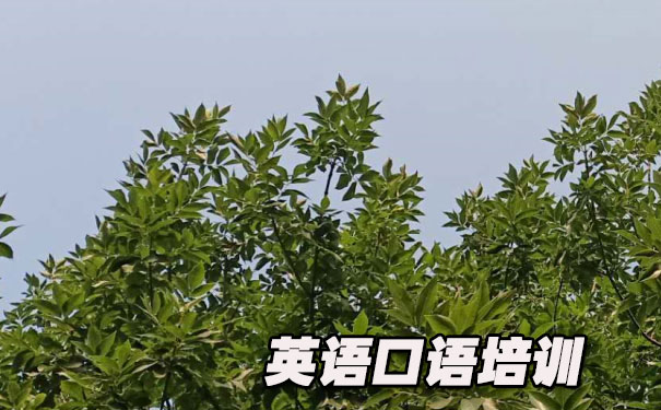 英语口语文章朗读阅读- 美联英语