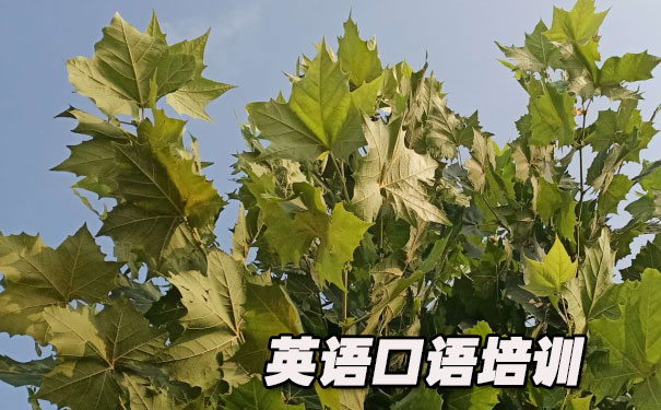 英语口语学习方法- 美联英语