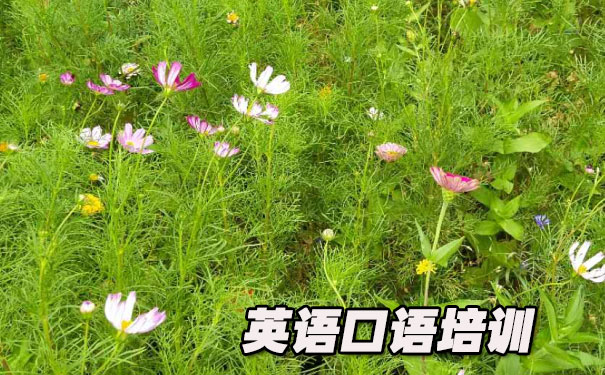 英语口语小短文一分钟- 美联英语