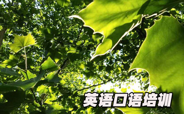 英语口语演讲小短文- 美联英语