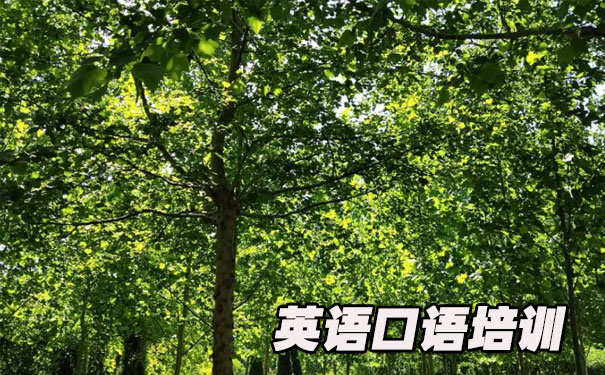 怎样学好英语口语- 美联英语