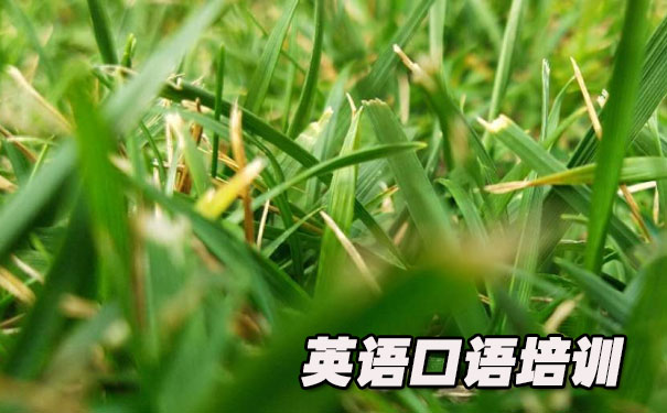 在线学英语口语- 美联英语