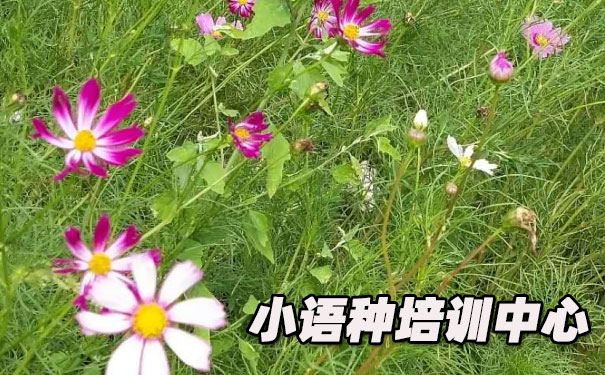 ����ŷ��С������ѵ����_�γ�ѧ�Ѻ������绰ԤԼ����