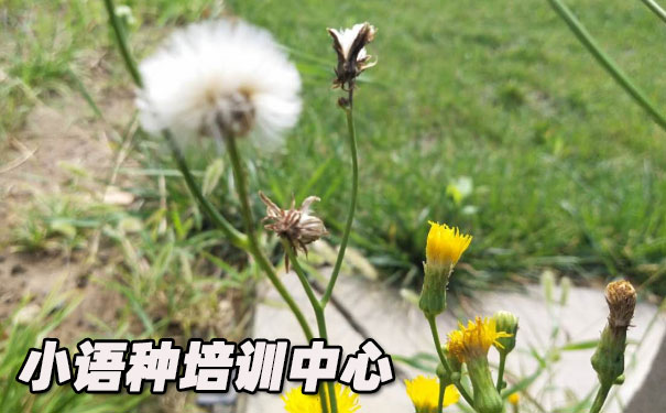 ����ŷ��С������ѵ����_�γ�ѧ�Ѻ������绰ԤԼ����