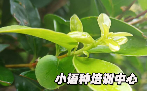 �ൺŷ��С������ѵ����_�γ�ѧ�Ѻ������绰ԤԼ����