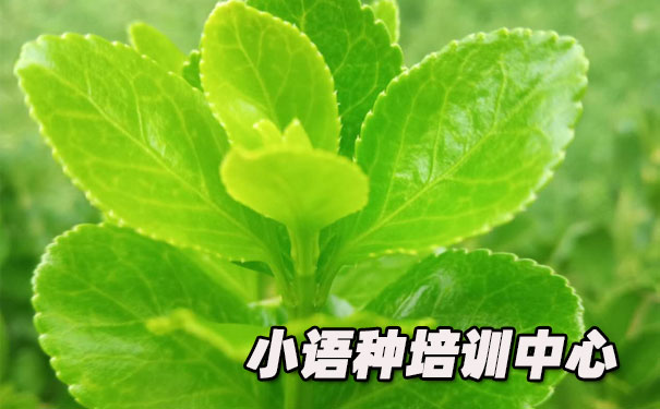 �人ŷ��С������ѵ����_�γ�ѧ�Ѻ������绰ԤԼ����