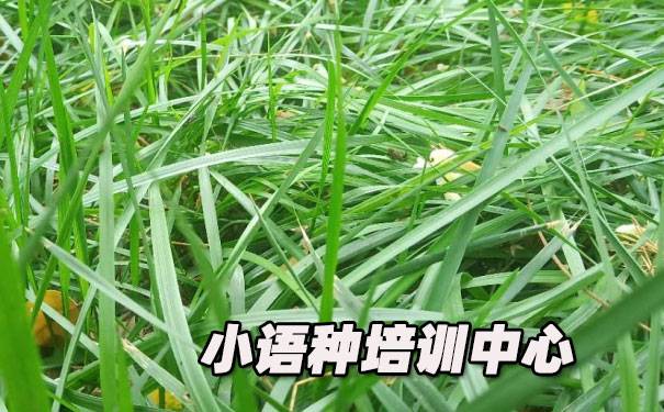 �ɶ�ŷ��С������ѵ����_�γ�ѧ�Ѻ������绰ԤԼ����