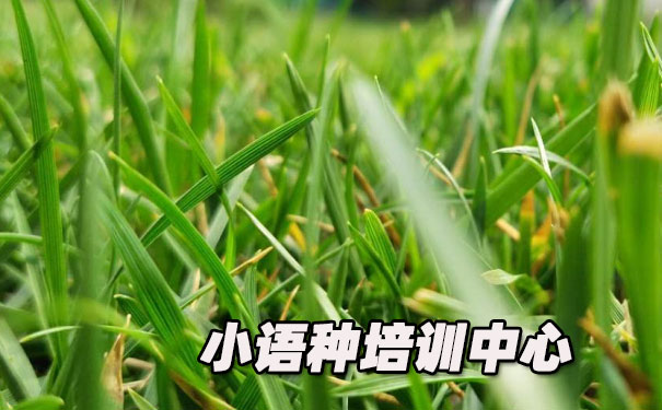 �ϲ�ŷ��С������ѵ����_�γ�ѧ�Ѻ������绰ԤԼ����