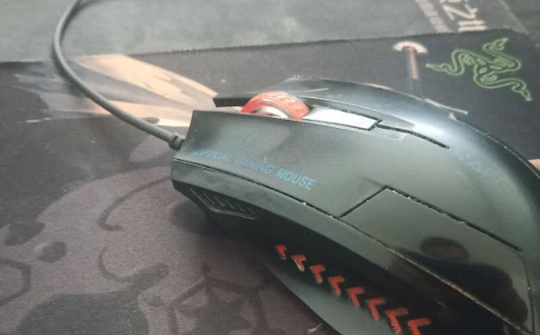 ��������������ѵ�����