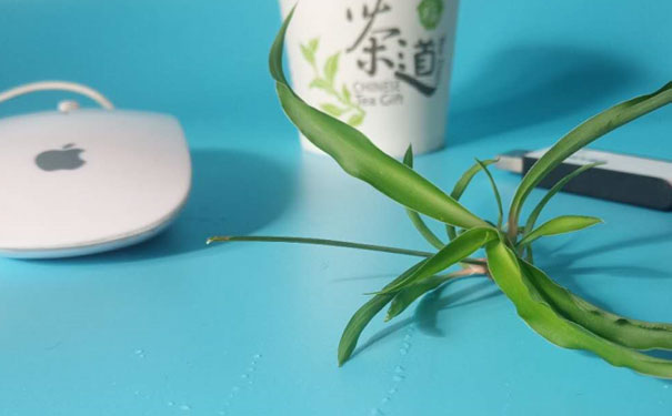 ������������ѵ�γ�