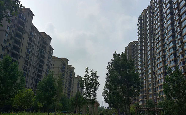 全过程工程咨询师证件样本