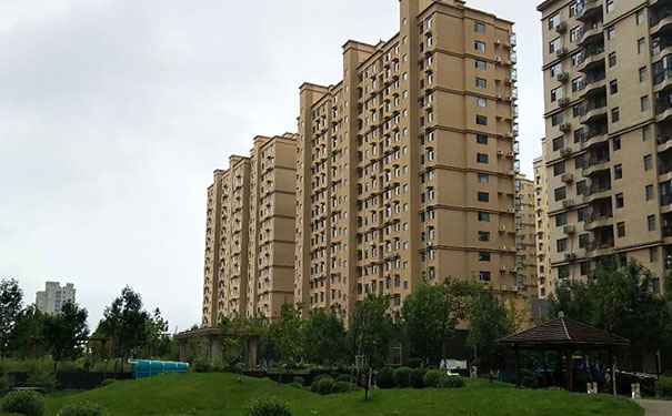 全过程工程咨询师证书查询