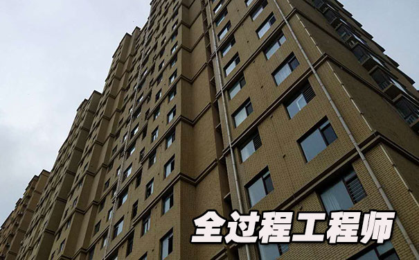 什么是全过程工程咨询师
