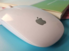 ��ɽƽ�����ʦ��ѵ��/