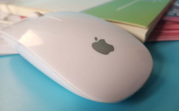 ��ɽƽ�����ʦ��ѵ��