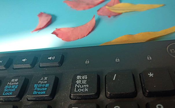 �߼�ʵսƽ�����ʦ��ѵ����