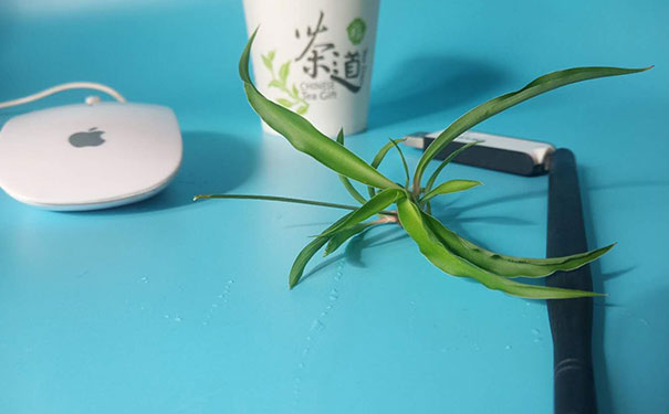 �㶫ƽ�������ѵ����