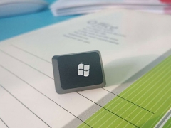 �㶫ƽ���������ЩѧУ/