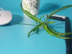 ����ƽ�������ѵ�۸�/