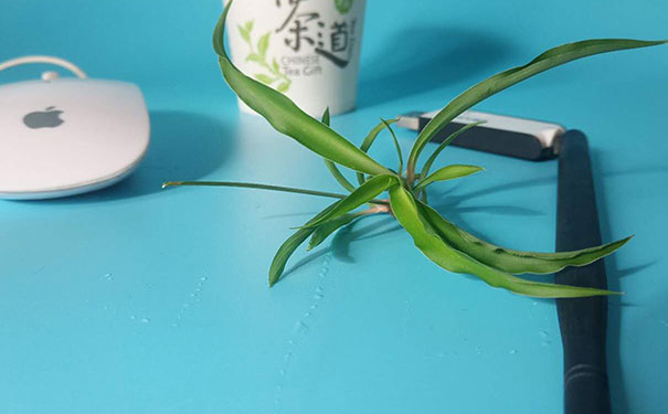 ����ƽ�������ѵ�۸�