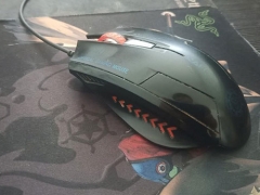 ����������ƽ�������ѵ/