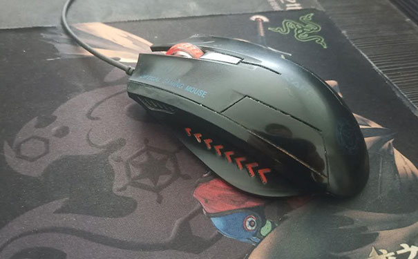 ����������ƽ�������ѵ