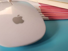 ����ƽ����ƿγ�/