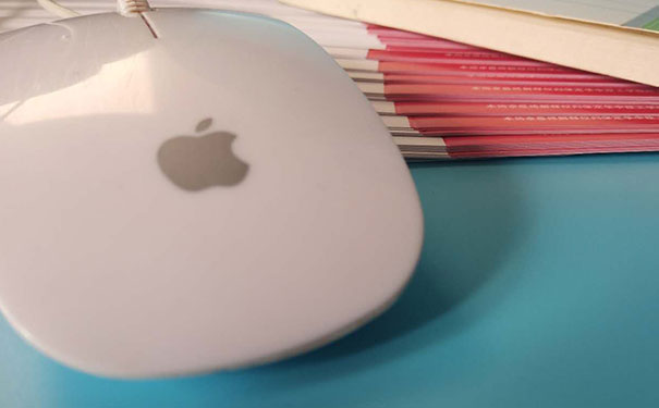 ����ƽ����ƿγ�     