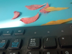 ����ƽ�������ѵ��������/