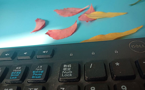 ����ƽ�������ѵ��������