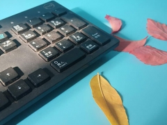 ����ѧƽ�����ѧУ����Щ/