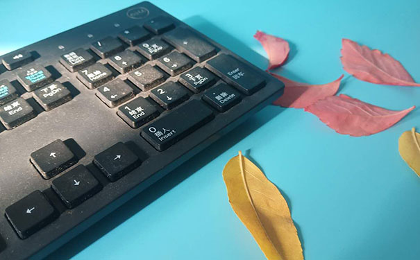 ����ѧƽ�����ѧУ����Щ