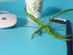 ����ѧƽ�����ѧУ/