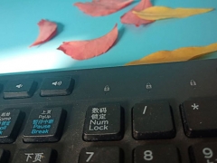 ��ѵ����������ƽ���������ҹ���/