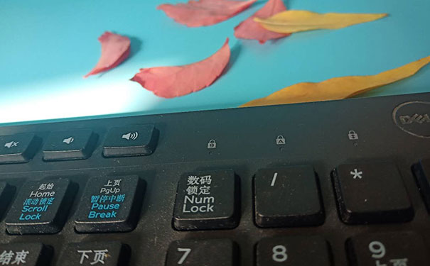 ��ѵ����������ƽ���������ҹ���